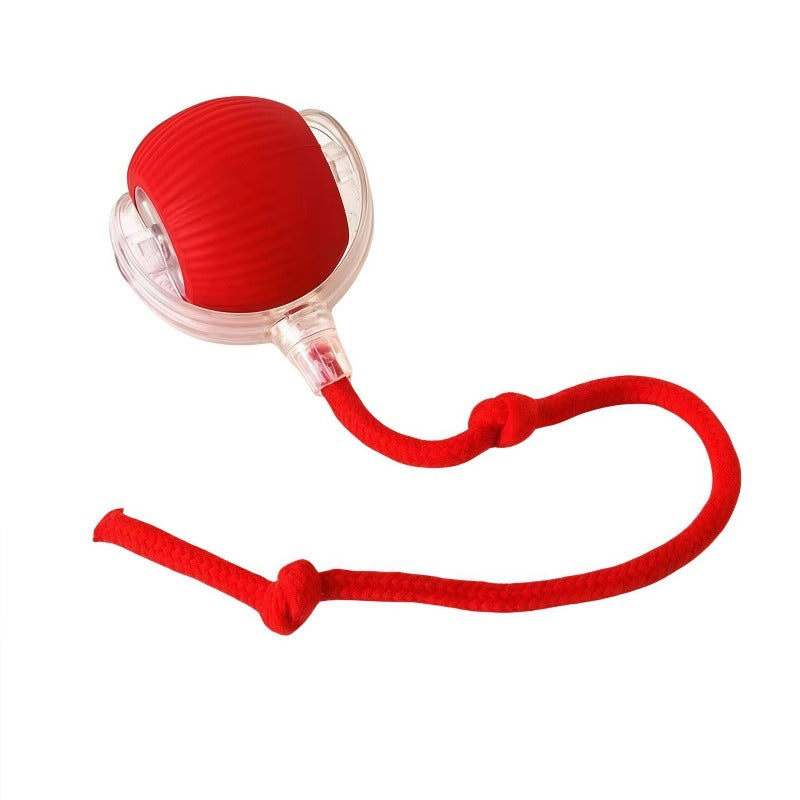 Automatic Self-Rolling Cat Toy Ball with Charging Cable