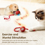 Pelota Interactiva Inteligente para Gatos