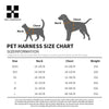 Arnes y Correa Reflectantes para Perros Pequenos