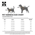 Arnes y Correa Reflectantes para Perros Pequenos